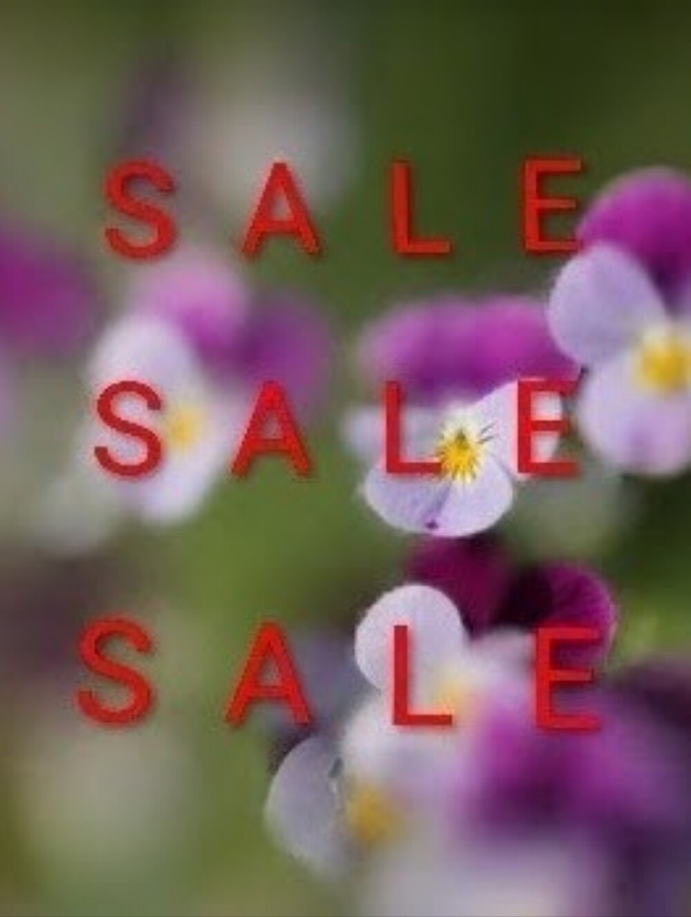 SALE!! SALE!! SALE!!